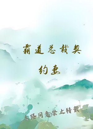 霸道总裁契约妻 小说